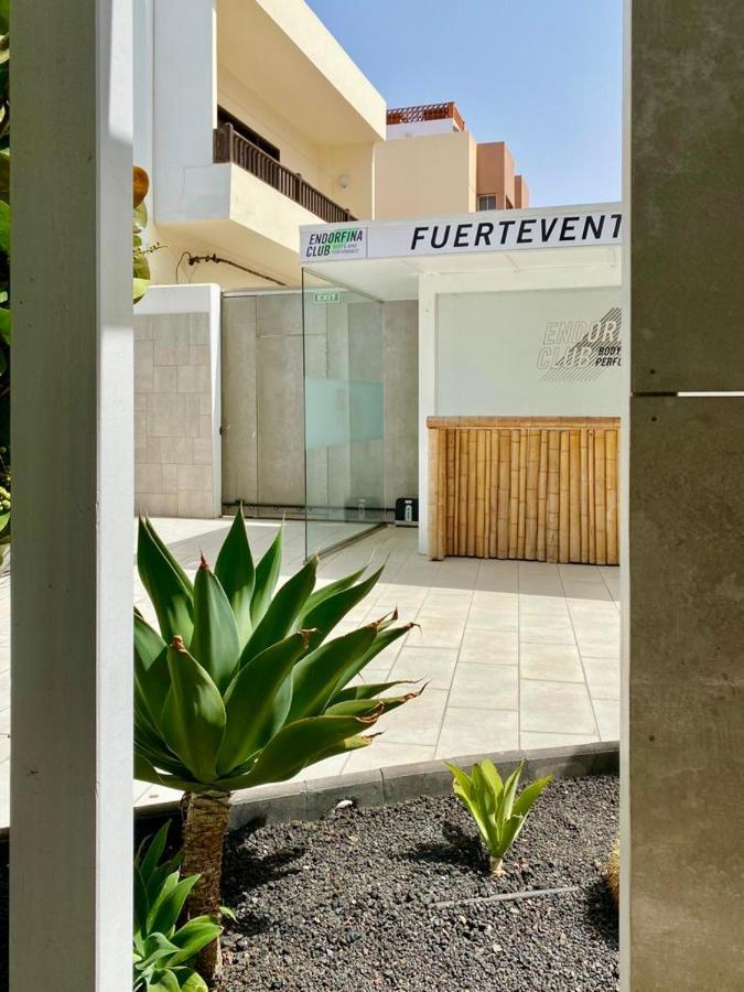 Casa Perla - Cozy Apartment Pool Side Corralejo Exteriér fotografie